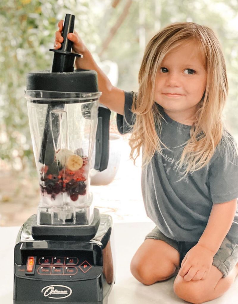 Optimum 9200A vs. Blendtec